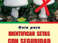 Guía para identificar setas con seguridad 4