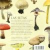 Las Setas (Enciclopedia Universal) 2