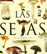 Las Setas (Enciclopedia Universal) 4