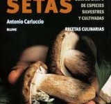 Setas. Recetas Culinarias (Spanish Edition) 4