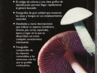 Setas de españa y europa / Mushrooms in Spain and Europe (Spanish Edition) 5