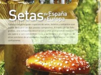 Setas de españa y europa / Mushrooms in Spain and Europe (Spanish Edition) 5