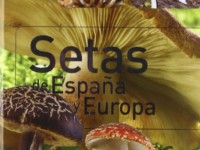 Setas de españa y europa / Mushrooms in Spain and Europe (Spanish Edition) 4