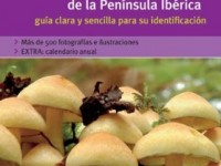 Setas de la Peninsula Iberica: Guia Clara y Sencilla para su Identificacion 4