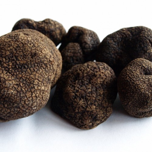 Trufa Negra - Comprar Trufa Negra 100 gr - Trufas.net